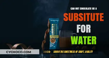 Exploring the Hydration Debate: Hot Chocolate vs. Water