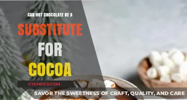 Exploring the Richness: Can Hot Chocolate Replace Cocoa?