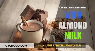 Delicious Dairy-Free Delight: Hot Chocolate with Almond Milk