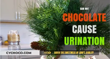 The Surprising Truth About Hot Chocolate and Its Effects on Bladder Health