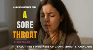Soothing Sips: Can Hot Chocolate Cure a Sore Throat?