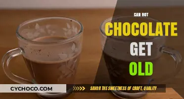 Does Hot Chocolate Have a Shelf Life? Surprising Facts Revealed