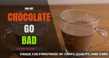 Does Hot Chocolate Have a Shelf Life? Surprising Facts Revealed