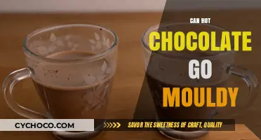 Does Hot Chocolate Spoil? Surprising Facts About Its Shelf Life