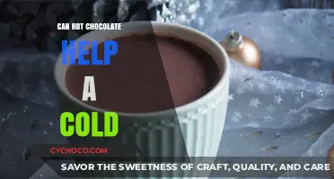 Sipping Comfort: Can Hot Chocolate Ease Your Cold Symptoms?