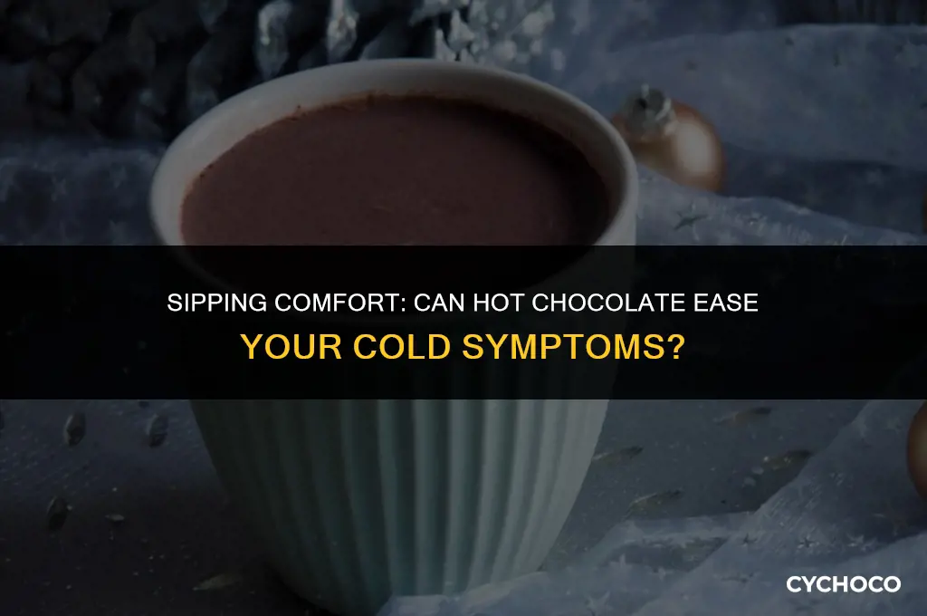 can hot chocolate help a cold