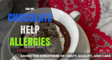 Sipping to Relief: Can Hot Chocolate Ease Allergy Symptoms?