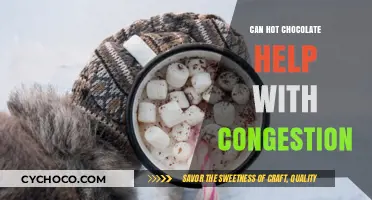 Sipping Comfort: How Hot Chocolate May Ease Congestion Woes