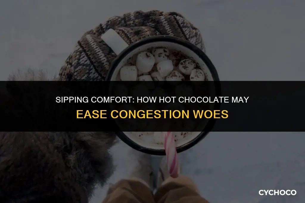 can hot chocolate help with congestion
