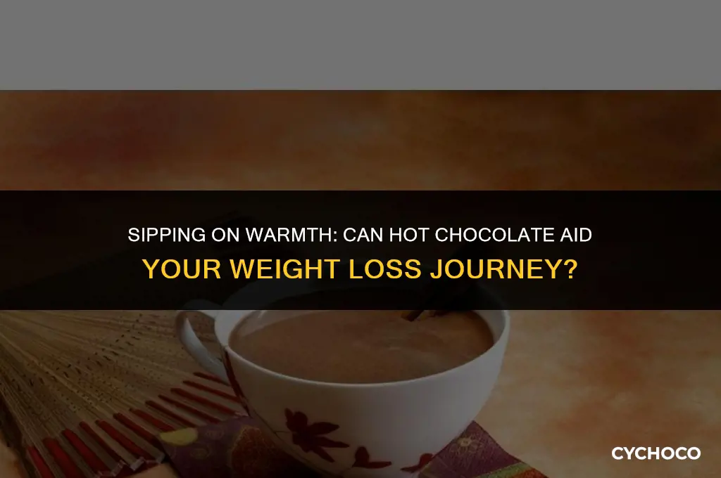 can hot chocolate help you lose weight