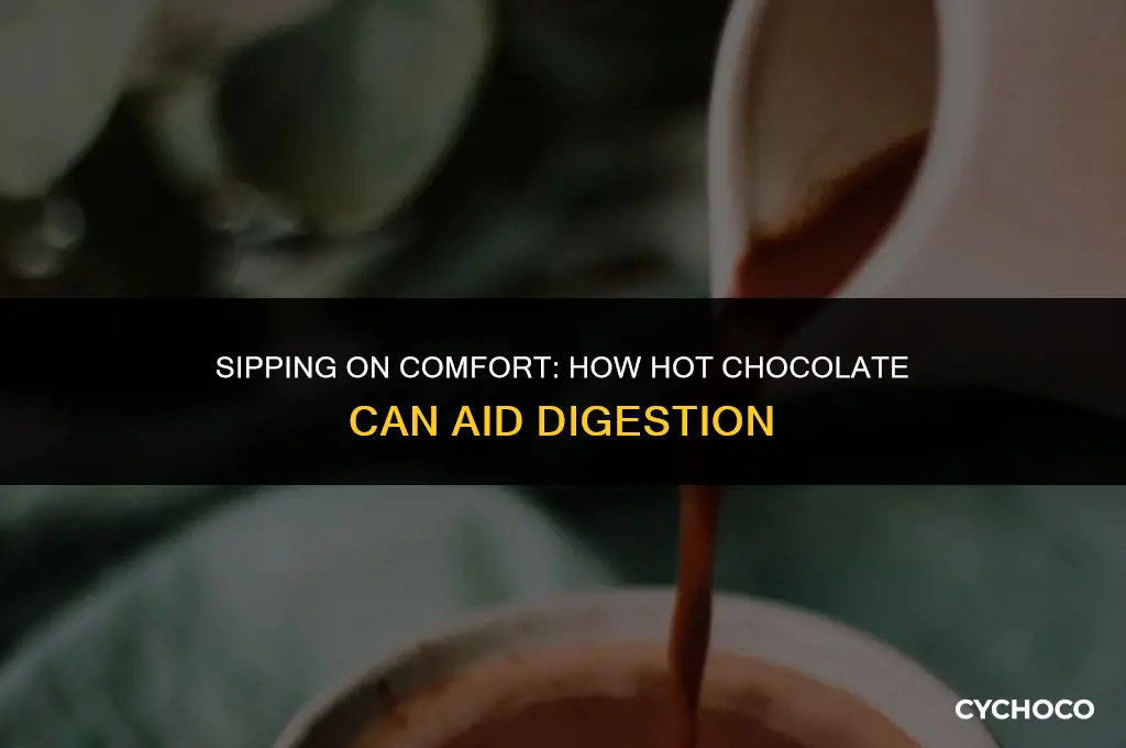 can hot chocolate help you poop