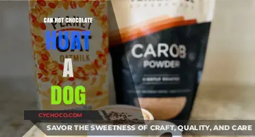 The Sweet Danger: Can Hot Chocolate Hurt Your Dog?