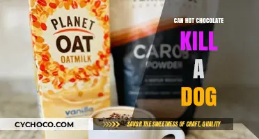 The Lethal Danger of Hot Chocolate for Dogs: What You Need to Know