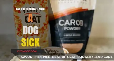 The Sweet Danger: Can Hot Chocolate Harm Your Dog?