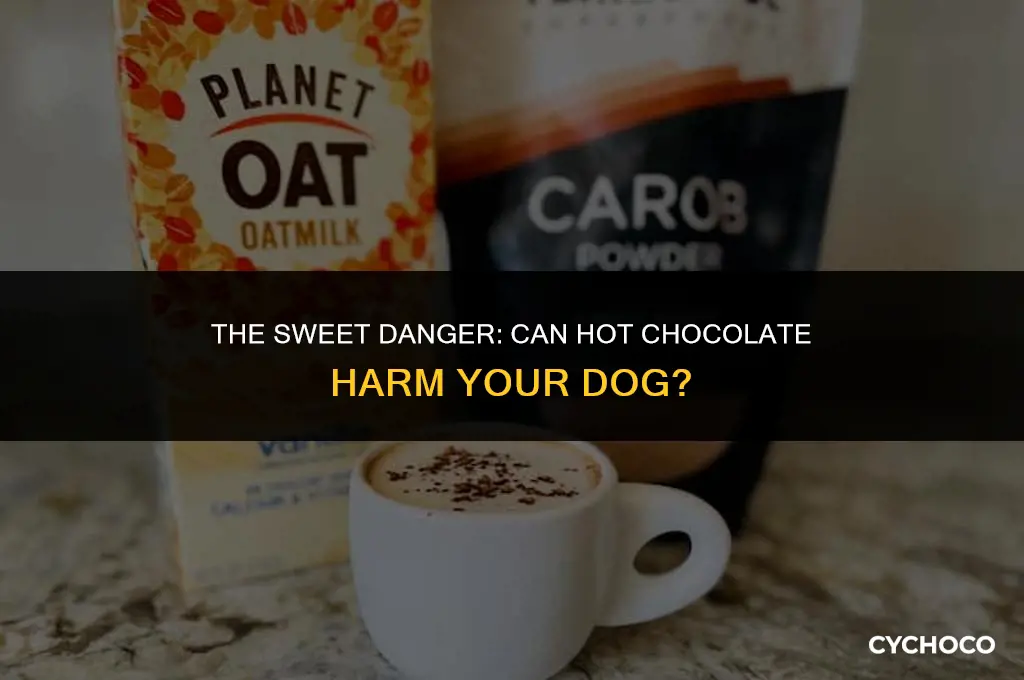 can hot chocolate make a dog sick