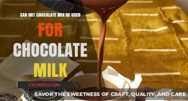 From Powder to Perfection: The Art of Chocolate Milk Making