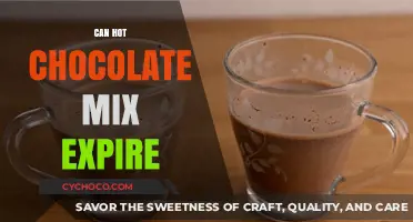 Does Hot Chocolate Mix Have a Shelf Life? Find Out Here!