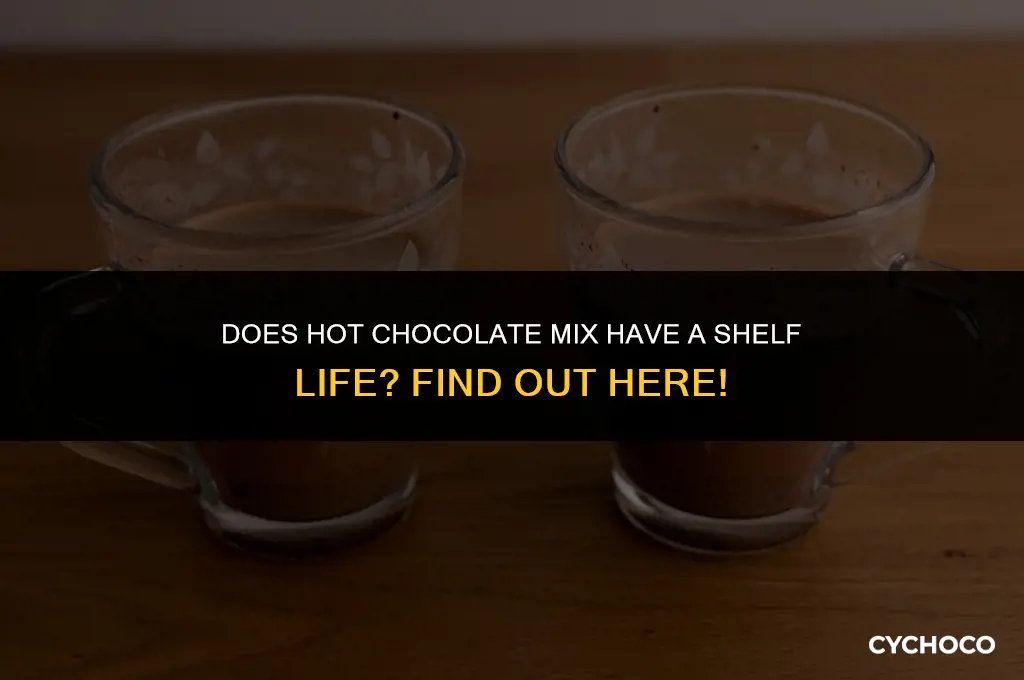 can hot chocolate mix expire