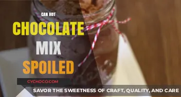 The Shelf Life of Hot Chocolate Mix: Does It Spoil?