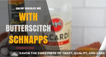 Indulgent Winter Delight: Hot Chocolate Meets Butterscotch Schnapps