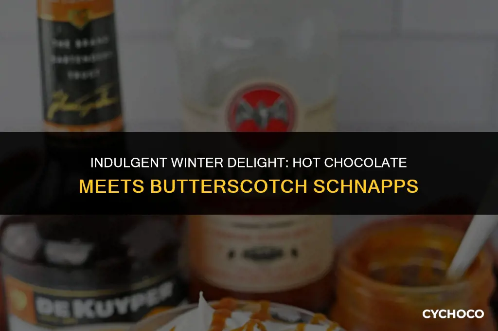 can hot chocolate mix with butterscitch schnapps