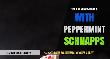 Peppermint Schnapps and Hot Chocolate: A Festive Flavor Fusion
