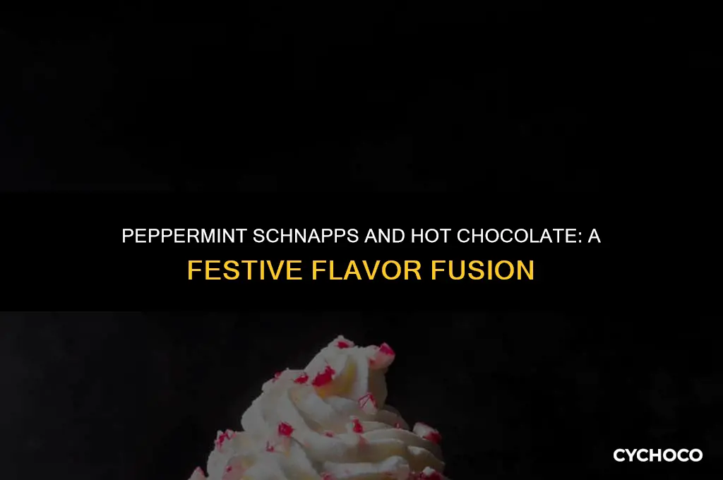 can hot chocolate mix with peppermint schnapps