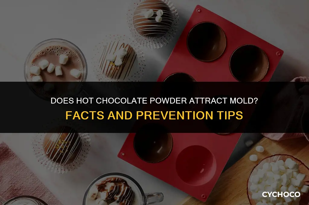 can hot chocolate powder contracte mold