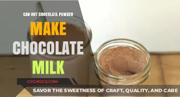 From Powder to Perfection: Crafting the Ideal Chocolate Milk