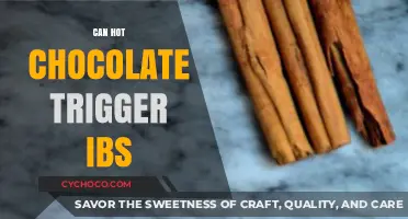 Exploring the Link: Can Hot Chocolate Trigger IBS Symptoms?