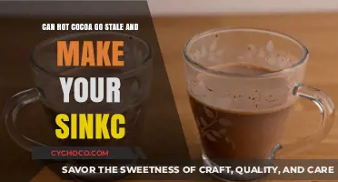 Does Hot Cocoa Go Stale? Tips to Keep Your Brew Fresh
