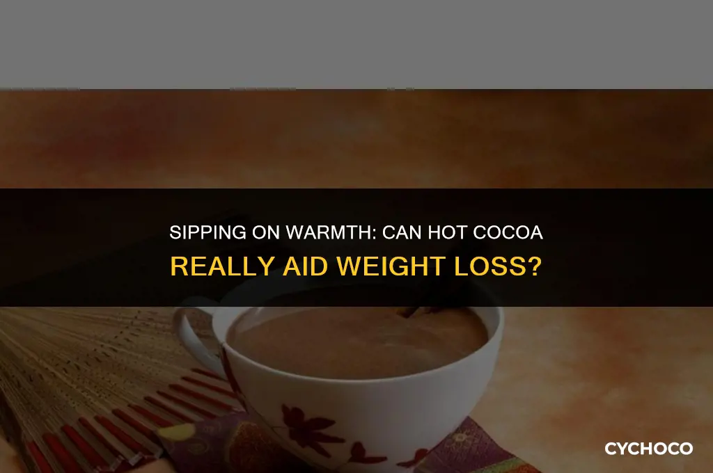 can hot cocoa make you lose weight