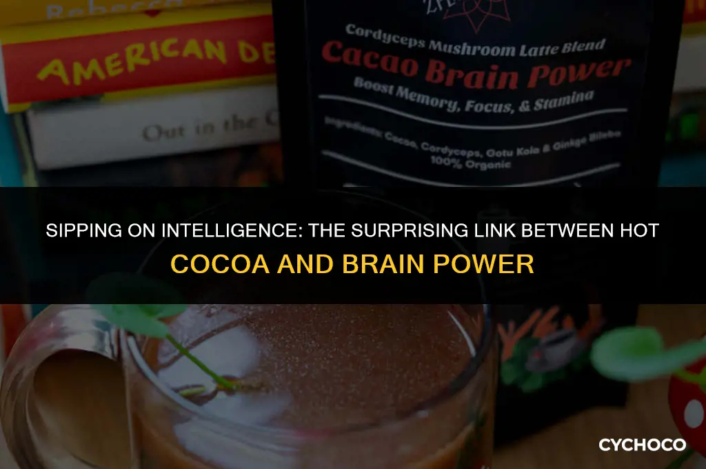 can hot cocoa make you smarter