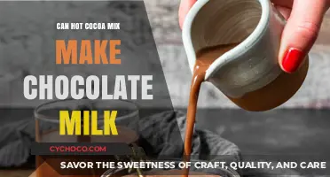 From Powder to Perfection: The Art of Making Chocolate Milk with Hot Cocoa Mix