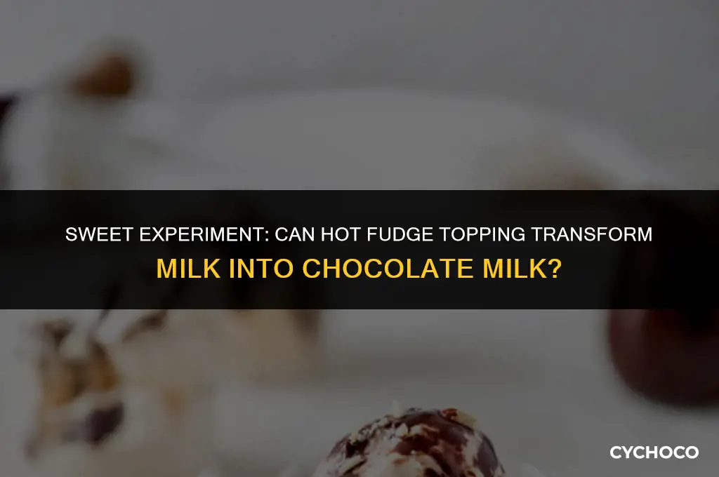 can hot fudge topping be used to make chocolate milk