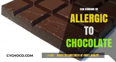 Unveiling the Truth: Can Humans Really Be Allergic to Chocolate?