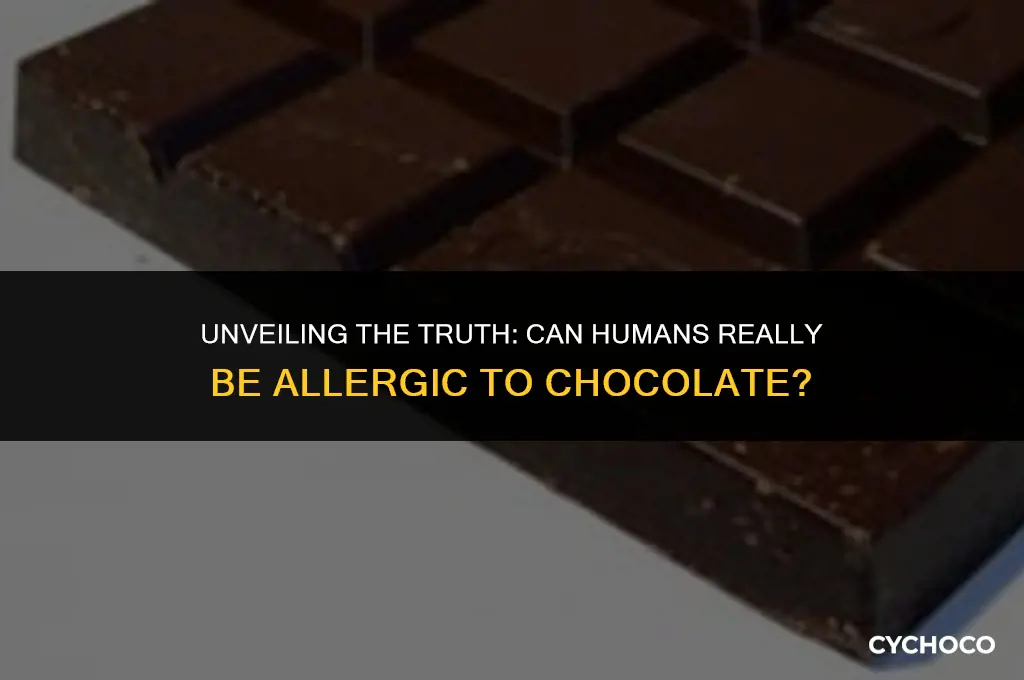 can humans be allergic to chocolate