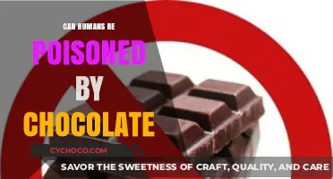 The Sweet Deception: Can Chocolate Really Be Poisonous to Humans?