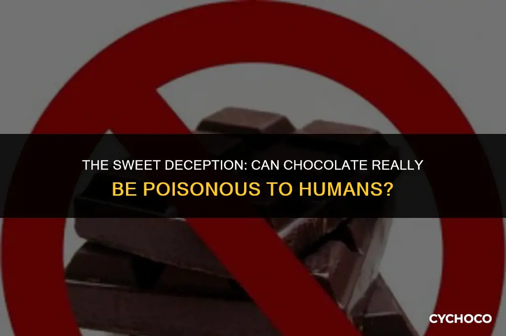 can humans be poisoned by chocolate