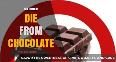 The Sweet Deception: Can Chocolate Be Deadly for Humans?