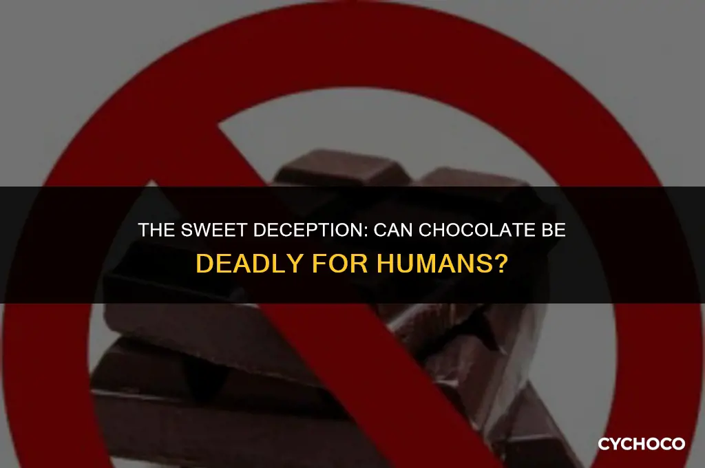 can humans die from chocolate