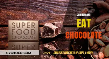 Exploring the Sweet Truth: Is Chocolate Safe for Human Consumption?