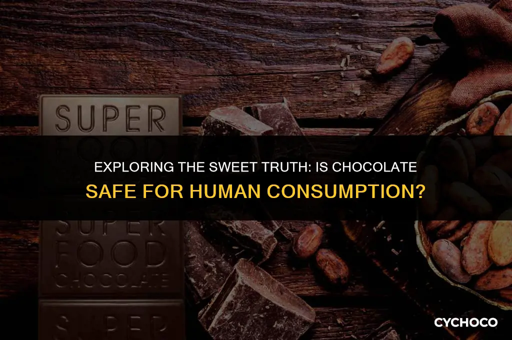 can humans eat chocolate