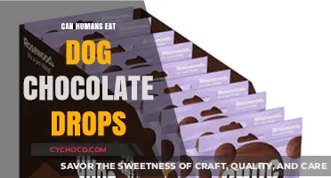 Sweet Deception: The Hidden Dangers of Feeding Dogs Chocolate Drops