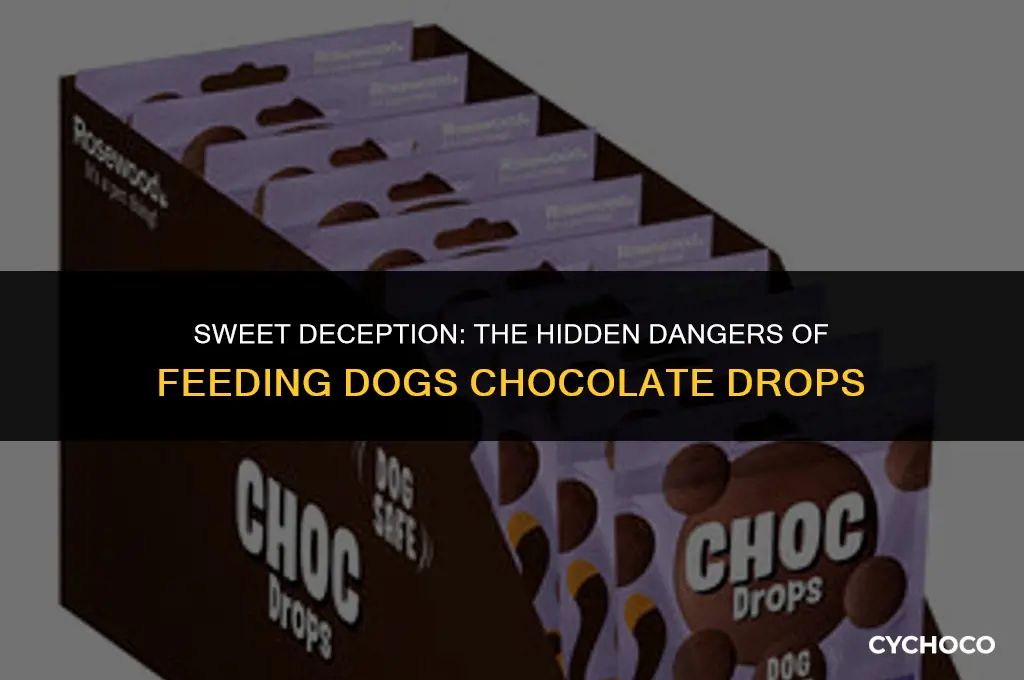 can humans eat dog chocolate drops