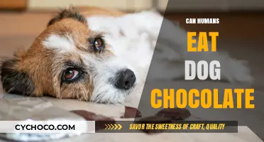 Sweet Deception: The Hidden Dangers of Feeding Dogs Chocolate