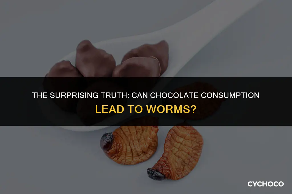 can humans get worms from eating chocolate