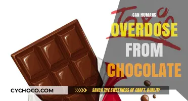Sweet Poison: Exploring the Limits of Chocolate Consumption