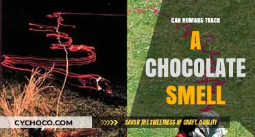 Unleashing the Power of Scent: Can Humans Really Track a Chocolate Smell?