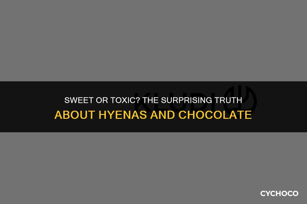 can hyenas eat chocolate